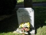 image of grave number 245281